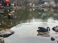 -水绘园