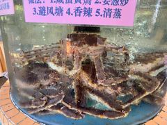 -荔城生鲜盛宴(番禺旗舰店)