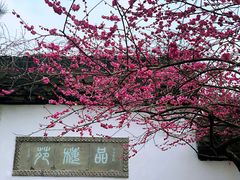 -杭州植物园