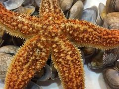 -福泉海码头(六里山店)