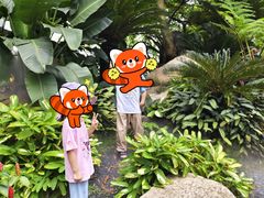 -荔湾湖公园
