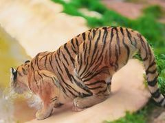 -云南野生动物园