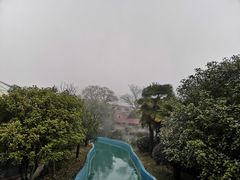 -金孔雀温泉旅游度假村