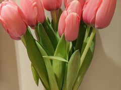 -循礼门鲜花花市(武汉循礼门店)