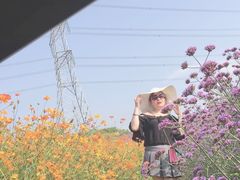 -紫颐香薰山谷景区