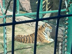 -鄂尔多斯野生动物园