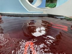 -海德温泉洗浴·生活馆(朝阳大悦城店)