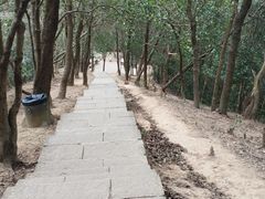 -梧桐山风景名胜区