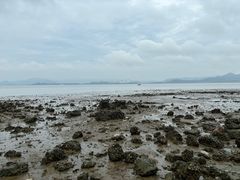 -深圳湾公园(南山区)