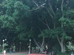 -海德公园