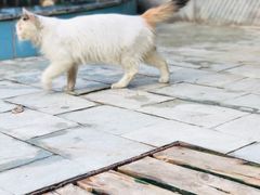 -龙达温泉生态城