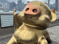 -星光大道