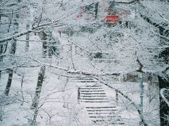 -崂山巨峰游览区