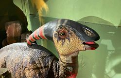 -恐龙探索乐园(磁器口店)