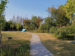 -上海长兴岛郊野公园