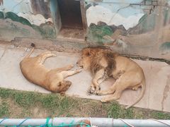 -青藏高原野生动物园