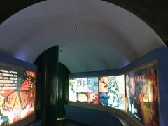 -上海昆虫博物馆