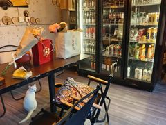 -树洞桌游宠咖小酒馆
