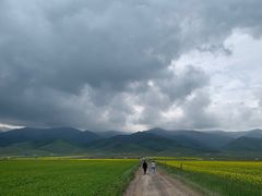 -青海湖国家重点风景名胜区