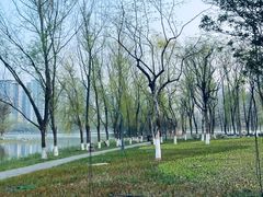 -洋湖国家湿地公园