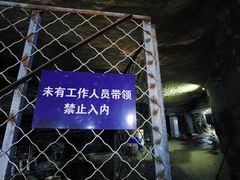 -仙蘑洞