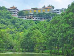 -顺峰山公园