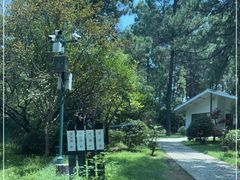 -竹上云想餐厅民宿