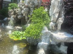 -呼吸森林·生态农庄农家乐私房菜