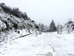 -齐岳山
