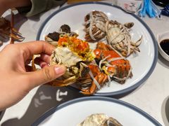 -杨氏青龙虾·羊蝎子(托乐嘉店)