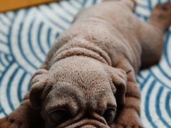 -红小满休闲餐厅(十全街店)