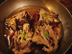 牛肝菌-毛辣果·酸(OHA复兴西路店)