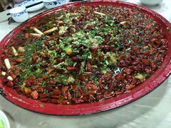 -东吴霸王兔(松青路店)
