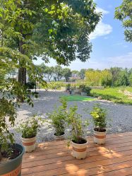 -DORA kids 朵拉儿童摄影花园店