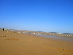 -日照海滨国家森林公园