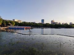 -莲花池公园