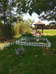 -DORA kids 朵拉儿童摄影花园店