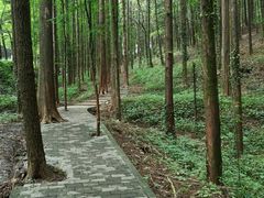 -山王坪喀斯特国家生态公园