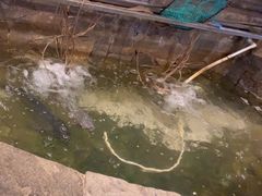 -井水小厨·湘菜(活力广场店)