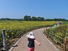 -苏州湾体育公园