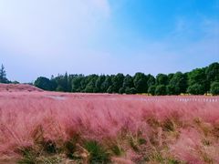 -嘉北郊野公园