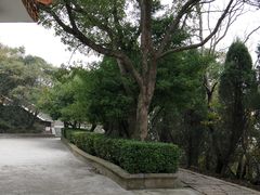 -青龙山公园