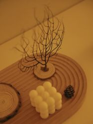 -VE专注问题肌·赛诺龙&科学美肤中心