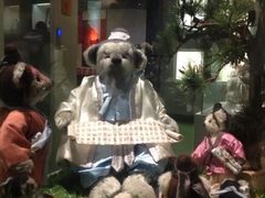 iphone_upload_pic-成都泰迪熊博物馆