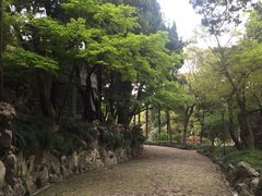 -叶家花园