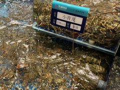 -东海怡品海鲜豆捞(星街坊店)