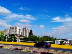 -陈家山荷花公园