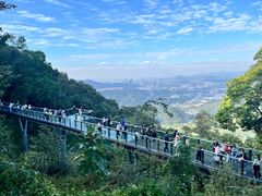 -黄埔油麻山森林公园