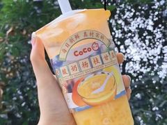 -CoCo都可(崇川万象城店)