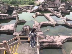 -蛇蟠岛